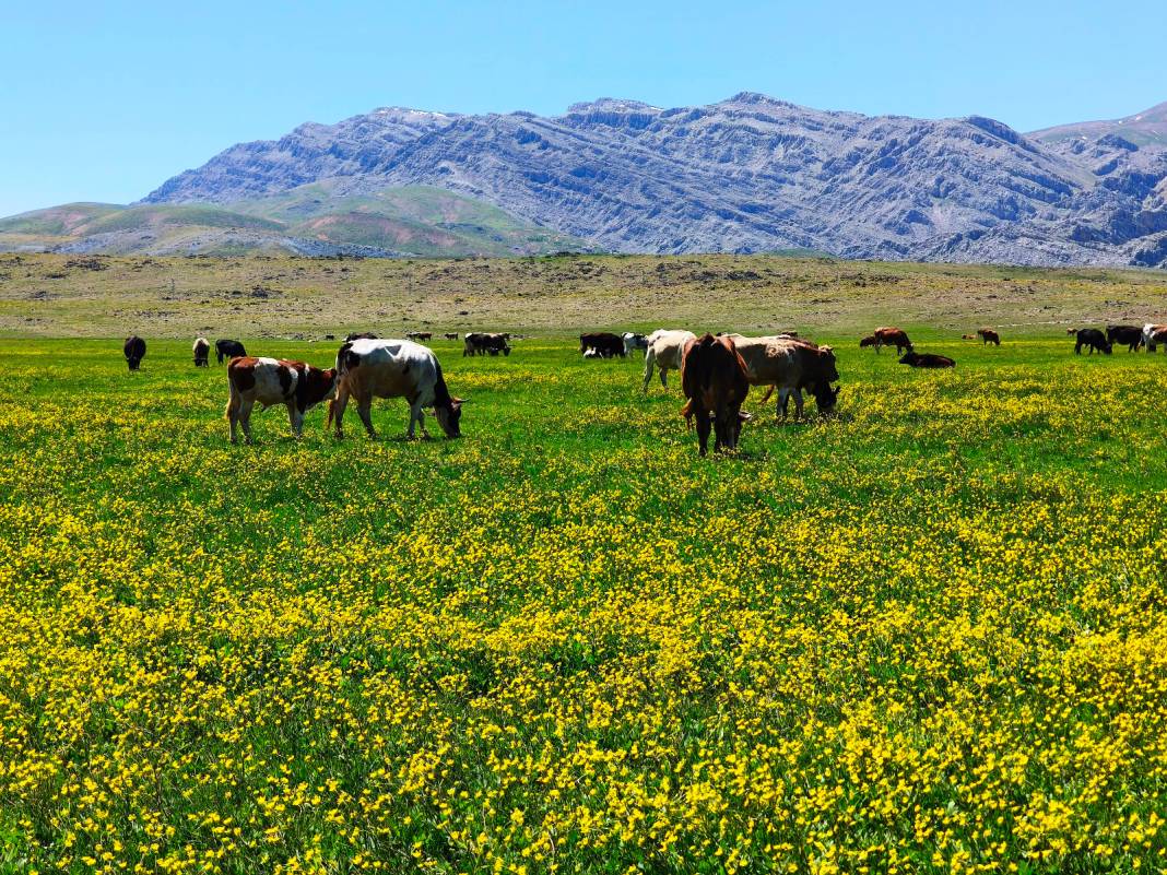 Konya’nın cennet köşesi baharı böyle karşıladı 15